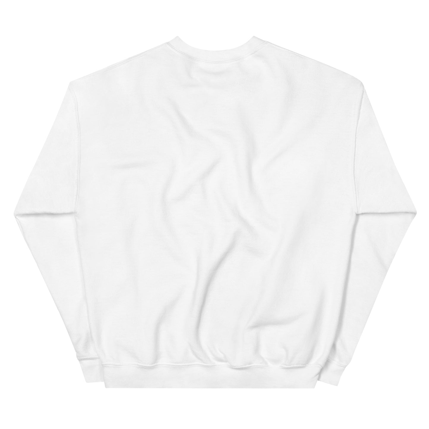 AKS History Sweatshirt